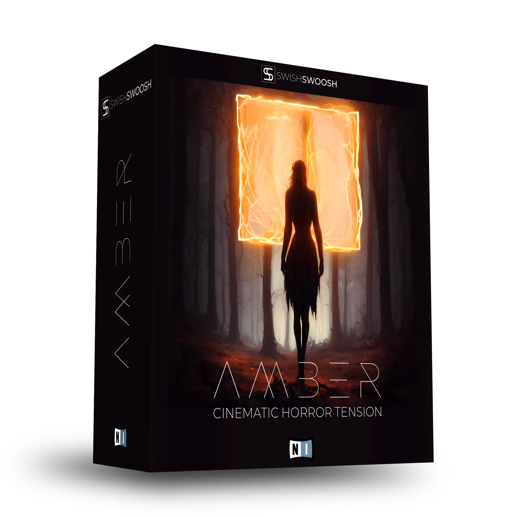 Amber Software Aaa – Overview – CASIA